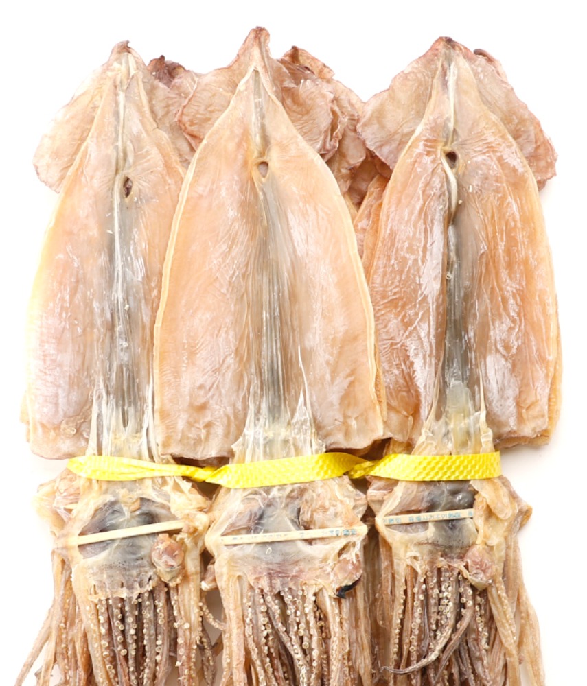 동해 마른오징어 20마리 1.5kg 당일바리 건오징어 건어물도매